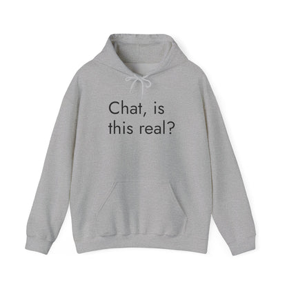 Chat, Is This Real? Hoodie