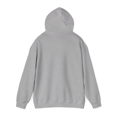 Chat, Is This Real? Hoodie